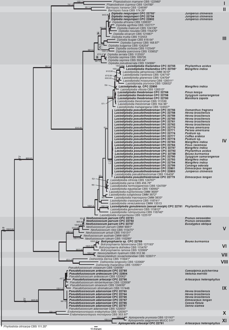 Fig. 1