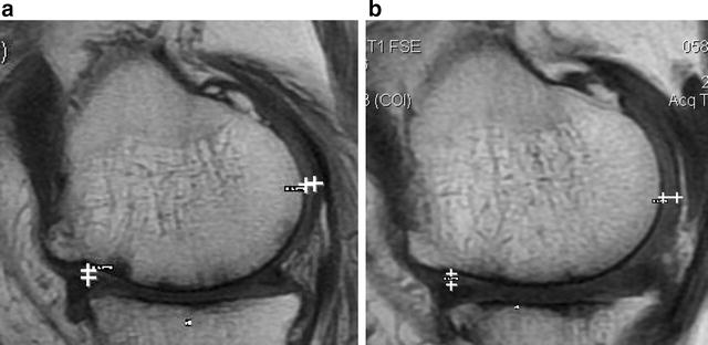 Fig. 7