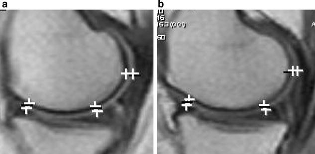 Fig. 8