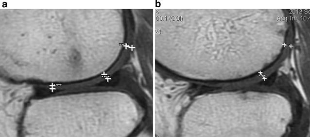 Fig. 6