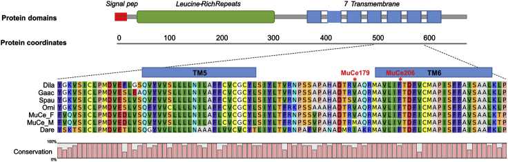 Figure 3