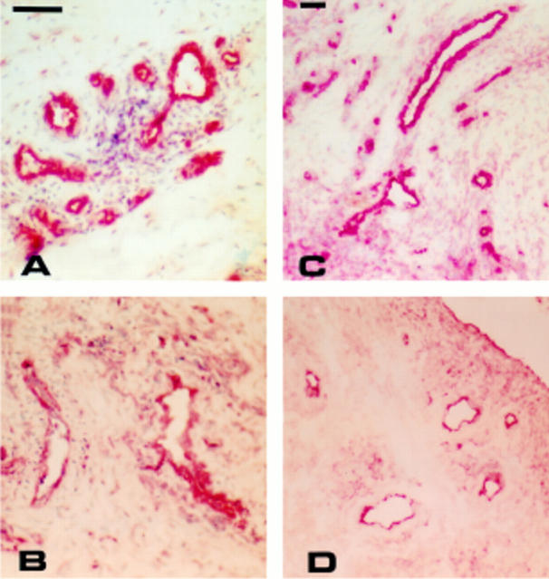 Figure 3  