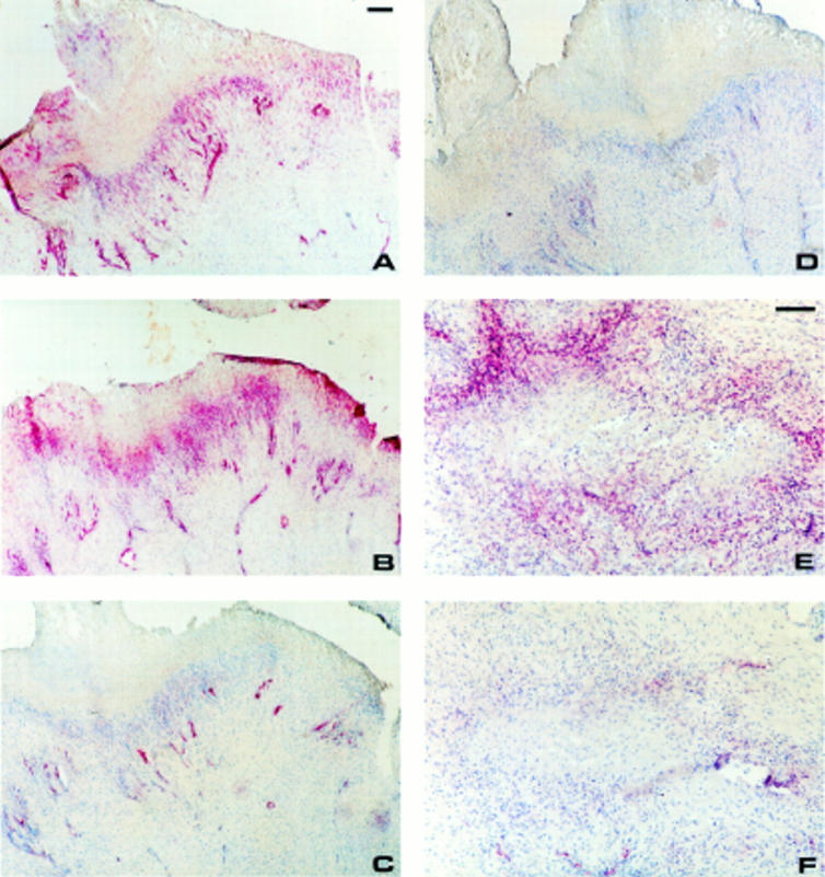 Figure 2  