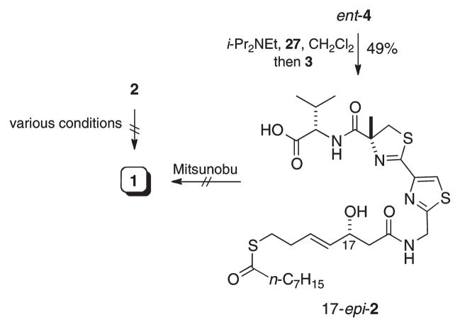 Scheme 6