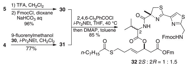 Scheme 8