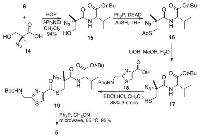 Scheme 3