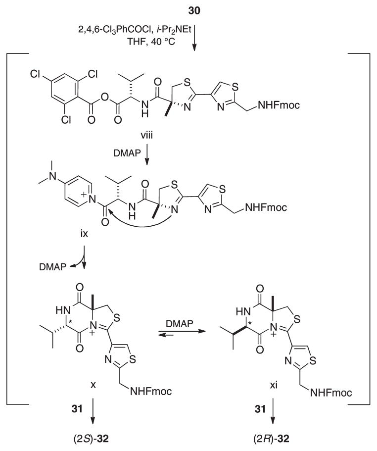 Scheme 9