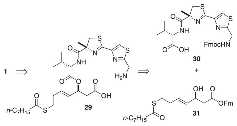 Scheme 7