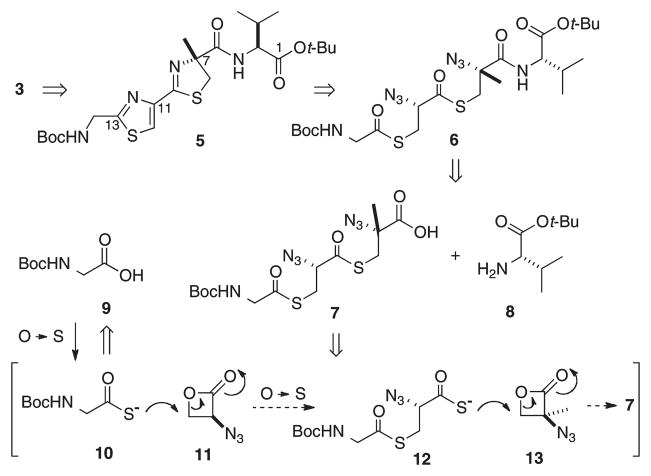 Scheme 2