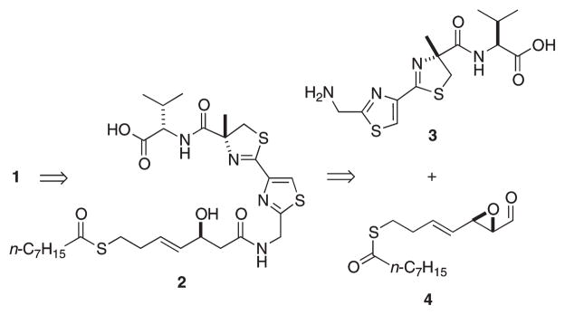 Scheme 1