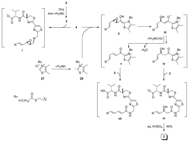 Scheme 5