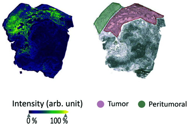 FIG 3.