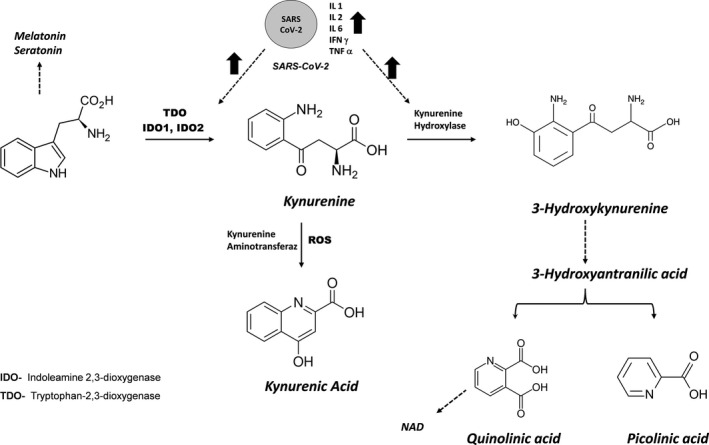 FIGURE 1