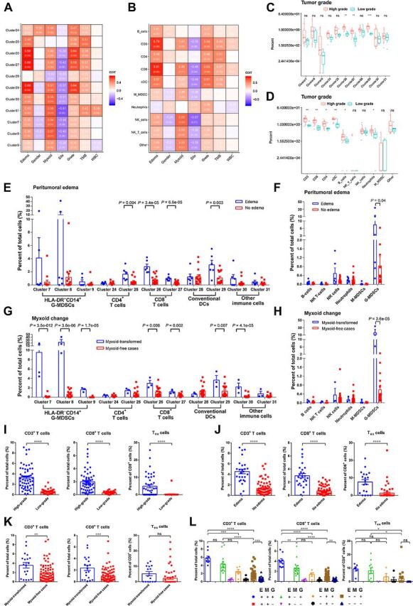 Figure 4. The correlations between clinical features and immune cells. t-SNE plots from Fig. 1B were referenced by the data in this figure. A and B, Pearson correlation assays for associations between clinical features and immune-cell subgroups. Figures in red background indicated positive correlation, while figures in purple background represented negative correlation. Figures in brackets were P values. C and D, Comparisons of immune-cell proportions between high-grade and low-grade cases. Immune-cell subgroups were identified by CyTOF (C) and multicolor flow cytometry (D). Wilcoxon signed rank test was used to evaluate potential statistical difference between 2 groups. E and F, Comparisons of immune-cell proportions between cases with or without peritumoral edema. Wilcoxon signed rank test was used to evaluate potential statistical difference between 2 groups. G and H, Comparisons of immune-cell proportions between cases with or without myxoid change. High proportion of G-MDSCs were only found in myxoid-transformed cases. Wilcoxon signed rank test was utilized to assess potential statistical significance between groups. I–K, Comparison of CD3+ T cells, CD8+ T cells, and Tex cells between groups divided by tumor grade (I), peritumoral edema (J), and myxoid status (K). Tex cells were defined as PD-1+ TIM-3+ T cells in multicolor flow cytometry from 77 cases. The Student t test was used to compare the means of the groups. L, CHS cases were divided into 8 groups according to tumor grade, peritumoral edema, and myxoid status. Comparison of immune-cell proportions between groups was accomplished by one-way ANOVA with Holm–Sidak multiple comparisons test. E, edema condition; G, tumor grade; M, myxoid status; +, positive or high tumor grade; –, negative or low tumor grade. *, P < 0.05; **, P < 0.01; ***, P < 0.001; ****, P < 0.0001.