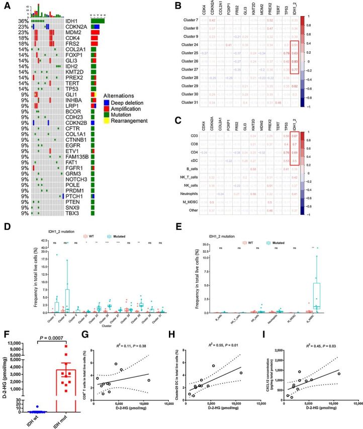 Figure 3. Genetic mutation atlas of CHS and its association with immune cells. t-SNE plots from Fig. 1A were referenced by the data in this figure. A, Oncoplot of mutation status of frequently altered genes in 18 of 22 CHS specimens available for WES. The bar chart on the top indicated the total mutation count per patient; the bar chart to the right indicated the total mutation count per gene. Blue, red, green, and yellow squares represent deletion, amplification, SNV, and rearrangement, respectively. B and C, Pearson correlation evaluation for associations between genetic mutations and immune-cell subgroups. Red figures indicated positive correlation, while blue figures represented negative correlation. Numbers indicated correlation coefficient. D and E, Comparisons of immune-cell proportions between IDH1/2 mutated and WT cases. Immune-cell subgroups were identified by CyTOF (D) and multicolor flow cytometry (E). Wilcoxon signed rank test was used to evaluate potential statistical significance between groups. F, Comparison of D-2-HG concentration in IDH1/2 wildtype (wt) or mutated (mut) CHS tissues. Student t test was utilized to evaluate the statistical difference. G–I, The correlations between the concentration of D-2-HG and immune-cell proportions or CXCL12 were examined by linear regression. R2 was calculated by goodness of fit measurement. P < 0.05 was determined as significantly correlated. Dotted lines indicated 95% confidence interval (CI) of the best-fit line. *, P < 0.05; **, P < 0.01; ***, P < 0.001. ns, no statistical significance.