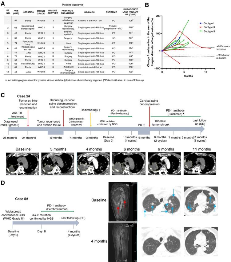 Figure 6. Three conventional CHS cases benefited from immunotherapy. A, Clinical response and outcome of 12 included cases after PD-1 antibody immunotherapy. ab, antibody; PD, progressive disease; PR, partial response; SD, stable disease. B, Spider plot of changes in the sum of unidimensional tumor measurements over time. C and D, Therapeutic information and images of 2 of the cases benefited. Red arrows and blue arrows in D indicate massive peritumoral edema and lung metastases, respectively. C, *, The tumor became refractory after recurrence. The cervical part of tumor was debulked. Clinical trial was suggested but the patient denied. †, The patient received radiotherapy elsewhere, but the detailed information was unclear. The tumor continued progressing afterward. ‡, Although the tumor volume increased and was regarded as PD, it was finally considered to be pseudo-progression. ¶, Although PD-1 inhibition was not recommended from physician's advice, the patient insisted on continuing anti–PD-1 therapy as a compassionate treatment. NGS, next-generation sequencing; TB, tuberculosis.