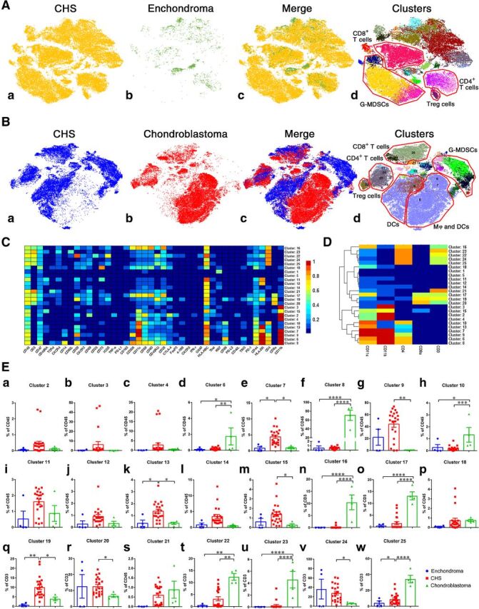 Figure 2. Comparison of intratumoral immune cells among chondrosarcoma, enchondroma, and chondroblastoma. A, t-SNE map showing identified immune-cell subgroups in 21 cases of CHS and 4 cases of enchondromas. The number of intratumoral CD45+ immune cells in enchondromas was very small compared with chondrosarcoma. B, t-SNE map displaying immune-cell phenotypes in CHS and 4 cases of chondroblastomas. Macrophages were almost exclusively seen in chondroblastomas. C and D, Normalized expression of markers for 25 identified immune-cell subgroups from 3 kinds of cartilaginous neoplasms. E, Comparison of clusters among the 3 types of cartilaginous tumors by Bonferroni multiple comparison test. *, P < 0.05; **, P < 0.01; ***, P < 0.001; ****, P < 0.0001.