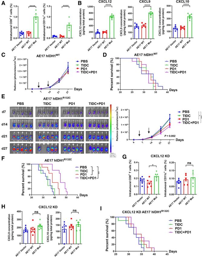 Figure 7. IDH mutation in immune inactive tumor elevated chemokine levels and facilitated response to PD-1 immunotherapy. A and B, Knock-in of hIDH1R132C in AE17 mesothelioma cells significantly elevate the level of CD8+ T cells, DCs (A), and chemokines (B) in vivo. C–F, Immunotherapy by PD-1 antibody or sorted TIDCs showed minimal effects in delaying the progression of tumor with WT IDH (C, D). However, in tumors with mutated IDH, PD-1–based treatment suppressed tumor proliferation and prolonged mouse survival (E, F). G–I, Knockdown of CXCL12 by shRNA impaired the effects of mutated IDH1 in immune-cell number (G) and chemokine levels (H). The antitumor effect of immunotherapy was also significantly weakened when CXCL12 was knocked down (I). KD, knockdown. One-way ANOVA with Bonferroni multiple comparison test was used for column data analyses. Two-way ANOVA was employed to evaluate tumor-signal progression. Data were presented as mean ± SEM. *, P < 0.05; **, P < 0.01; ***, P < 0.001; ****, P < 0.0001.