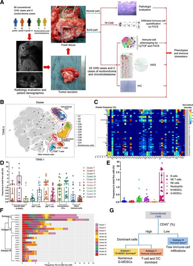 Figure 1. In-depth CyTOF and multicolor flow cytometry identification and quantification of immune-cell subgroups classified CHSs into 3 immunophenotypic subgroups. A, Research scheme. B, t-SNE map illustrating each identified cell subgroup in color by cluster. A total of 42 frequent cell subgroups including both immune cells and nonimmune cells (CD45 negative) were identified. C, Heatmap showing normalized expression of selected markers for the 42 identified cell phenotypes. Clusters were grouped by expression profile. D and E, Column figures showing the frequencies of 11 dominant immune-cell subtypes illustrated by CyTOF (D) and 6 other immune-cell subgroups identified by multicolor flow cytometry (E) in total live cells. Dots represent data from each case (n = 21). F, Hierarchical k-means clustering by the immune-cell signatures of each patient with CHS. G, Scheme showing the classification of CHS according to the immune-cell composition.