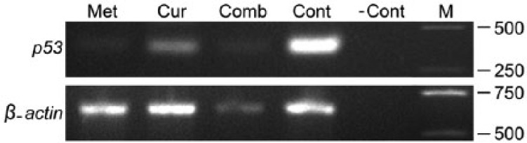 Figure 7.