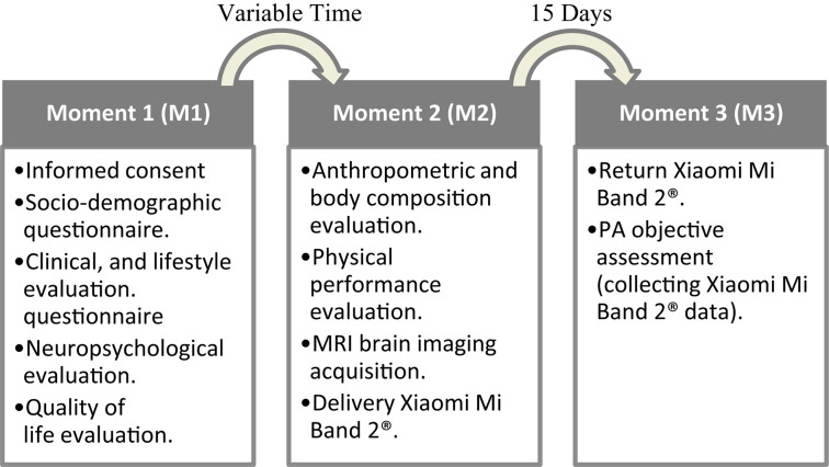 FIGURE 1