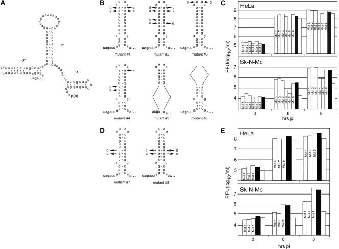 FIG. 1.