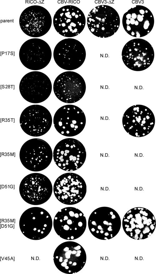 FIG. 4.