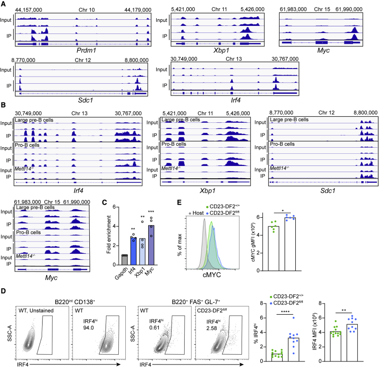 Figure 6