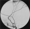 F<sc>ig</sc> 1.