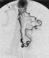 F<sc>ig</sc> 3.