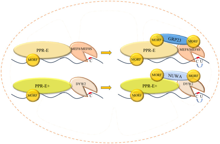 Fig. 6.