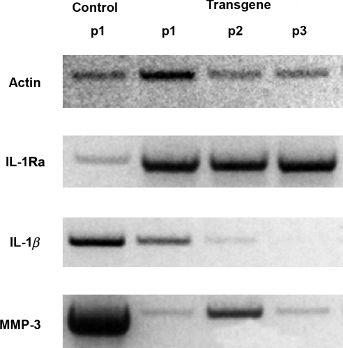 FIG. 2.