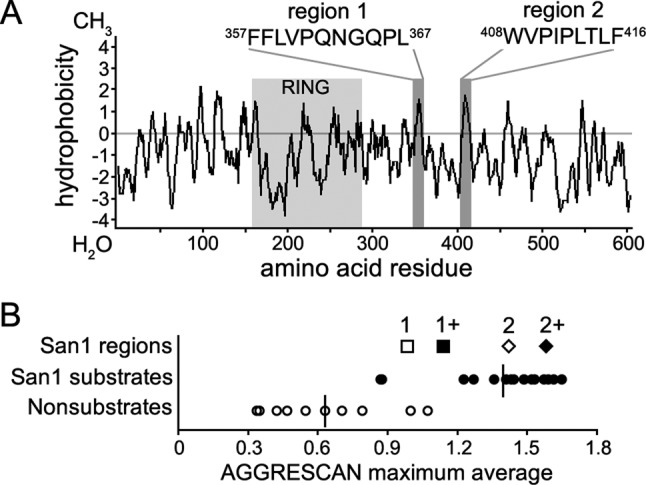 FIGURE 6: