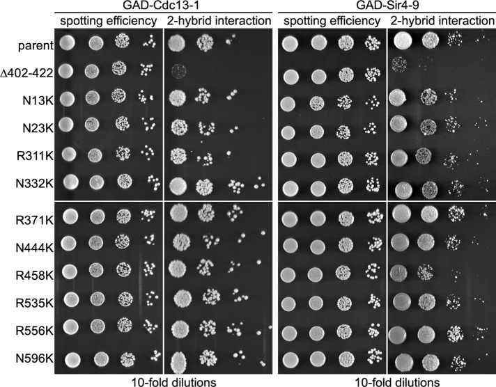 FIGURE 3: