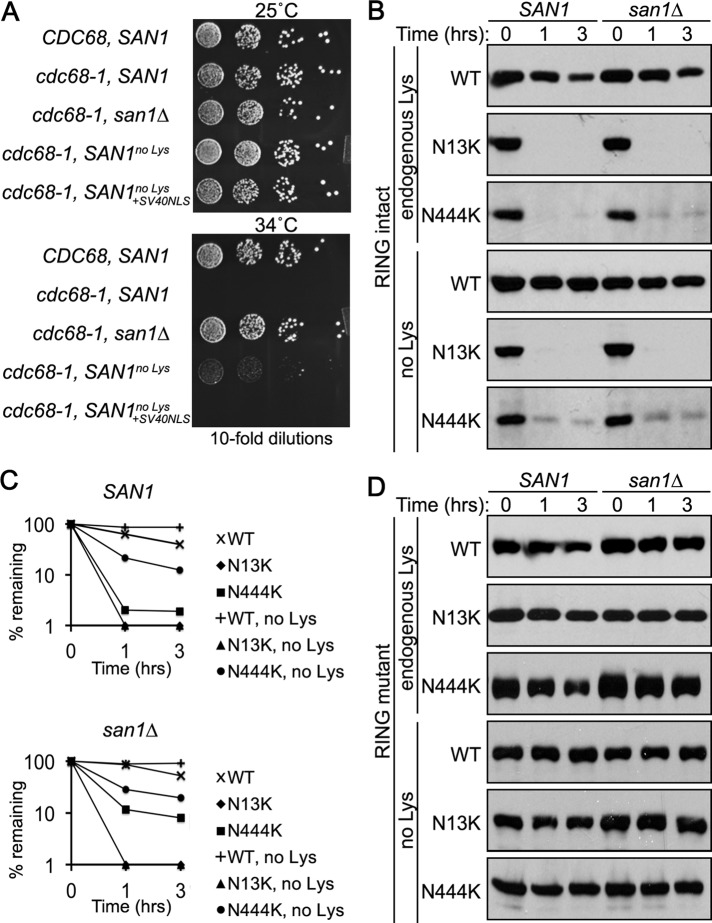 FIGURE 4: