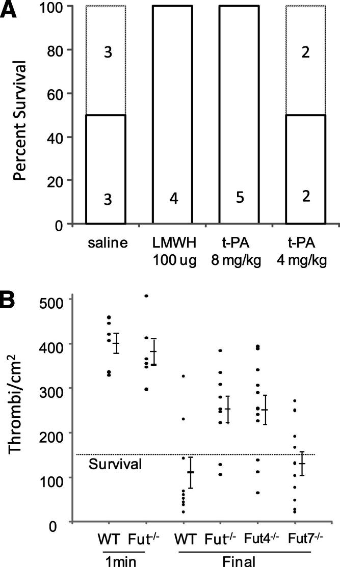 Figure 6