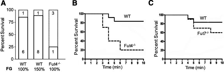 Figure 5