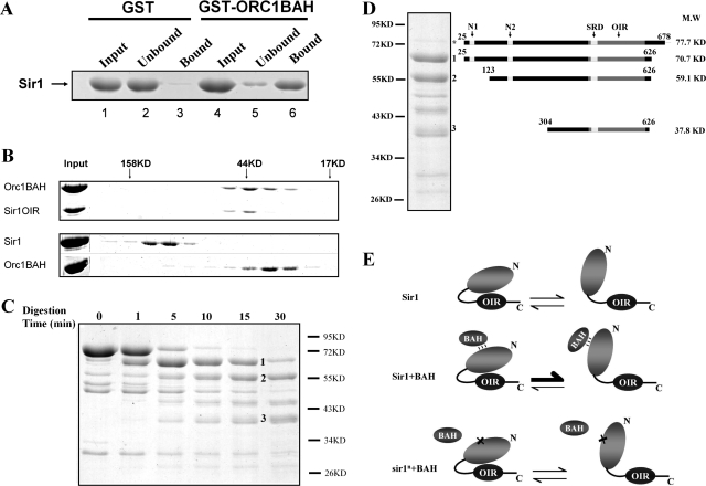 FIG. 7.