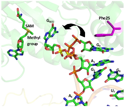 Figure 4