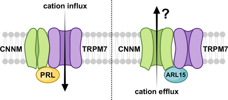 Figure 7.