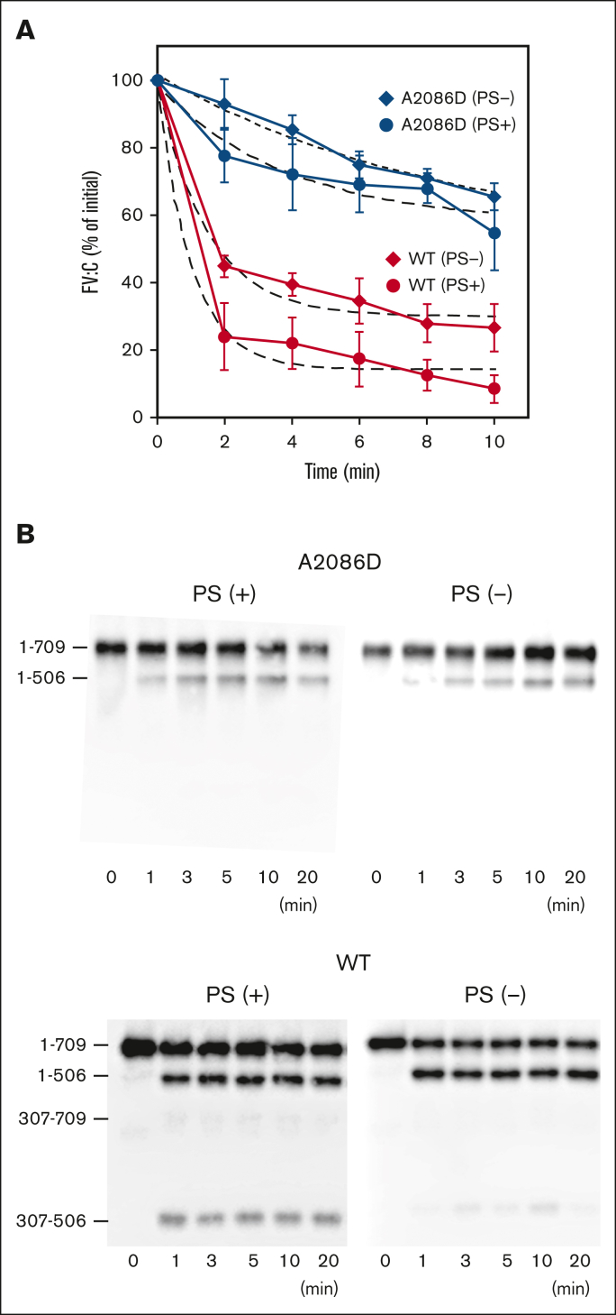 Figure 1.