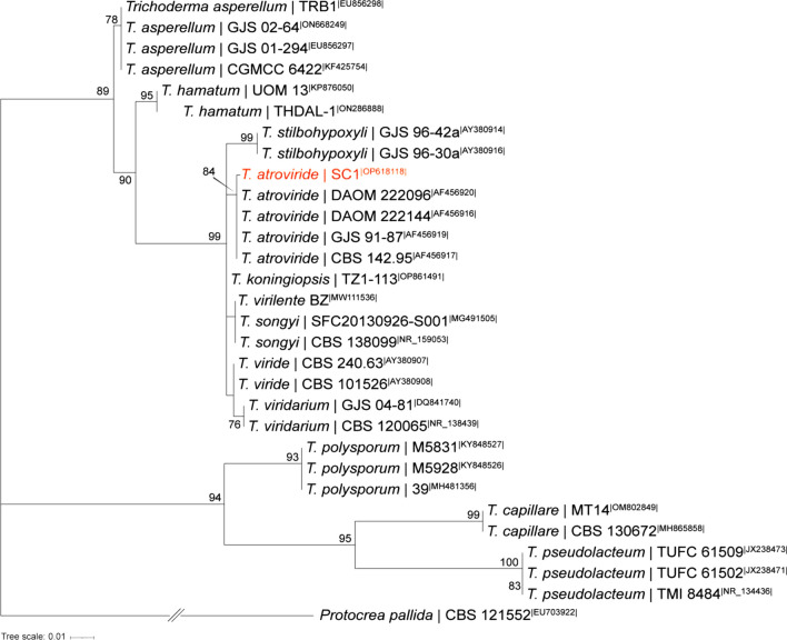 Fig. 7