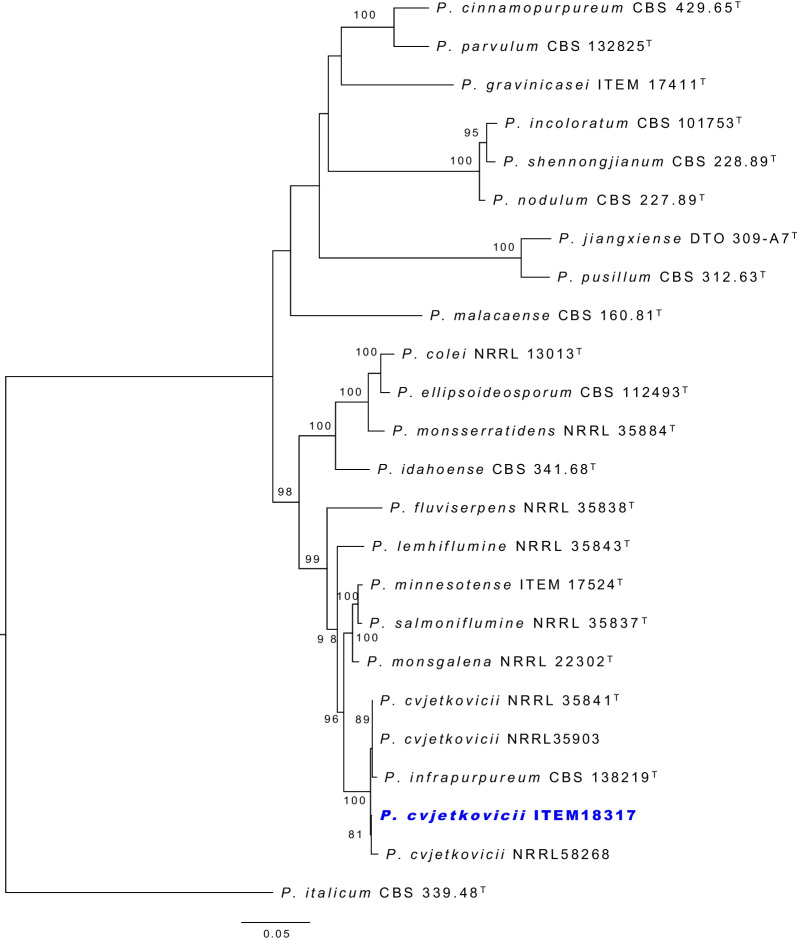 Fig. 4