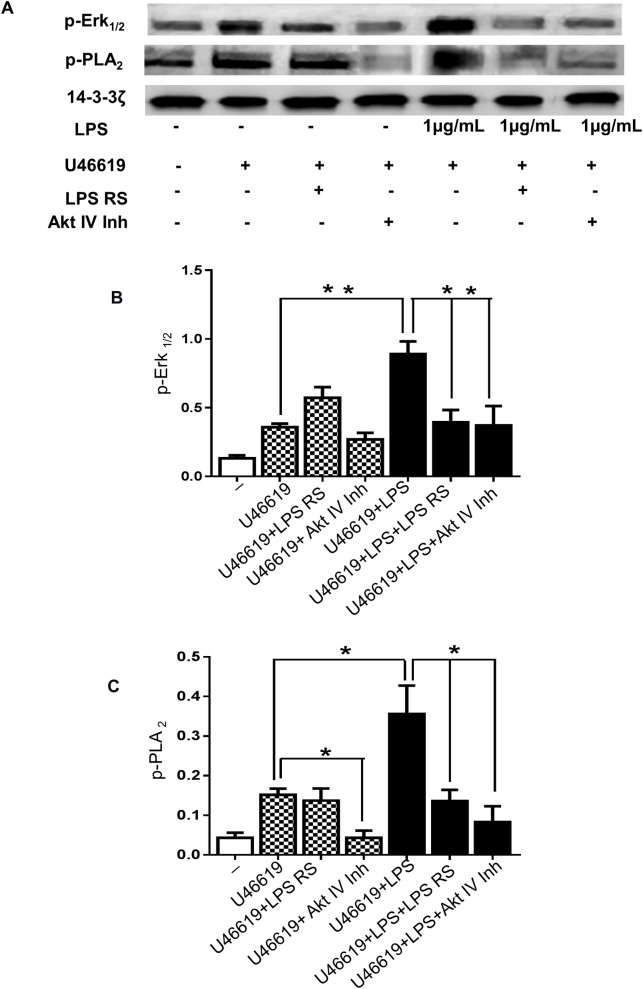 Fig 5