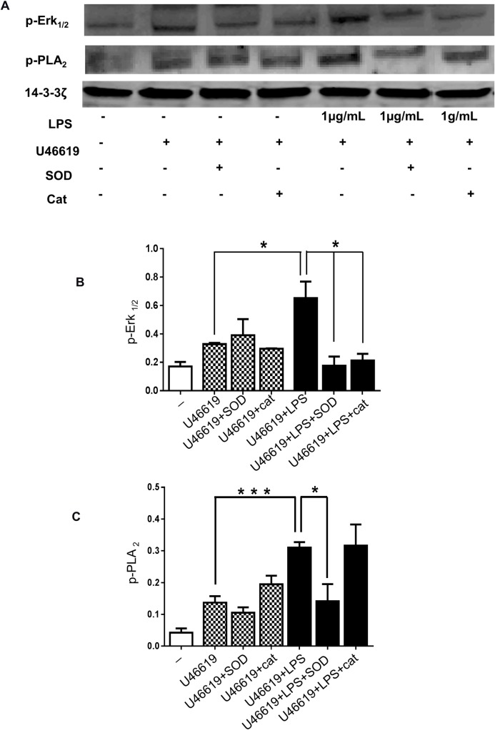 Fig 7