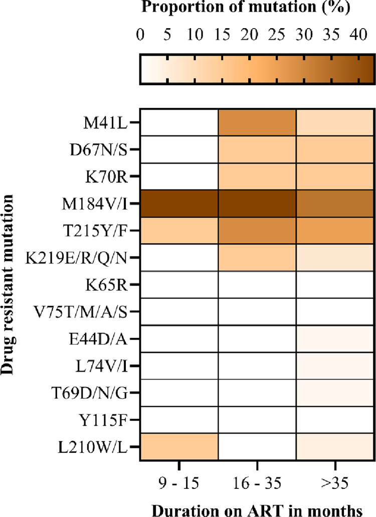 Fig 5