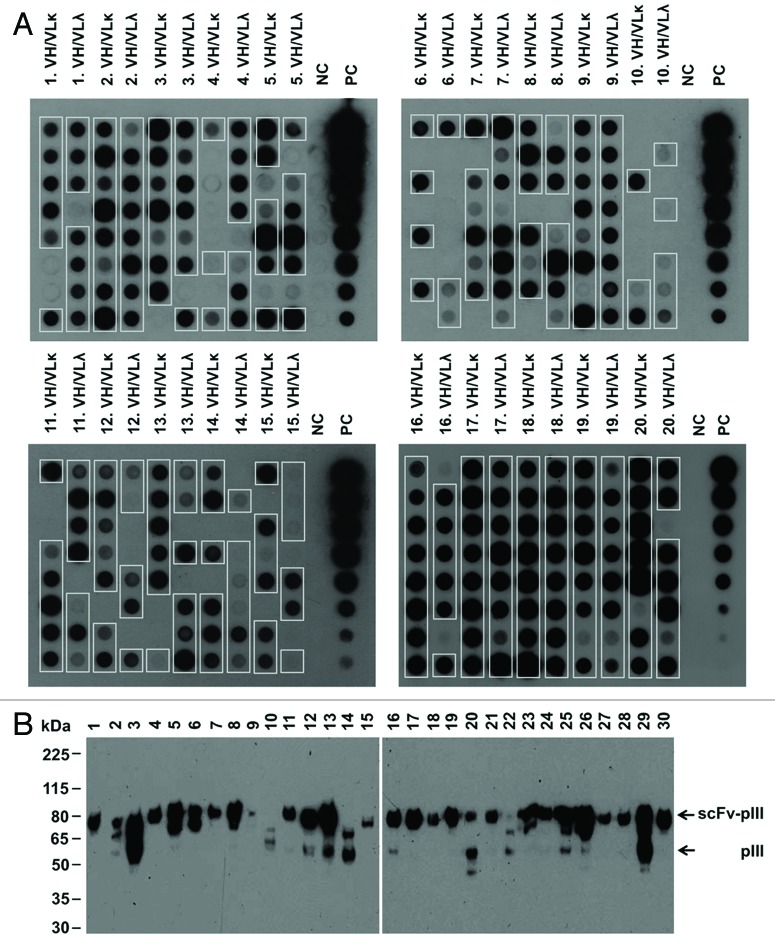 Figure 1. 