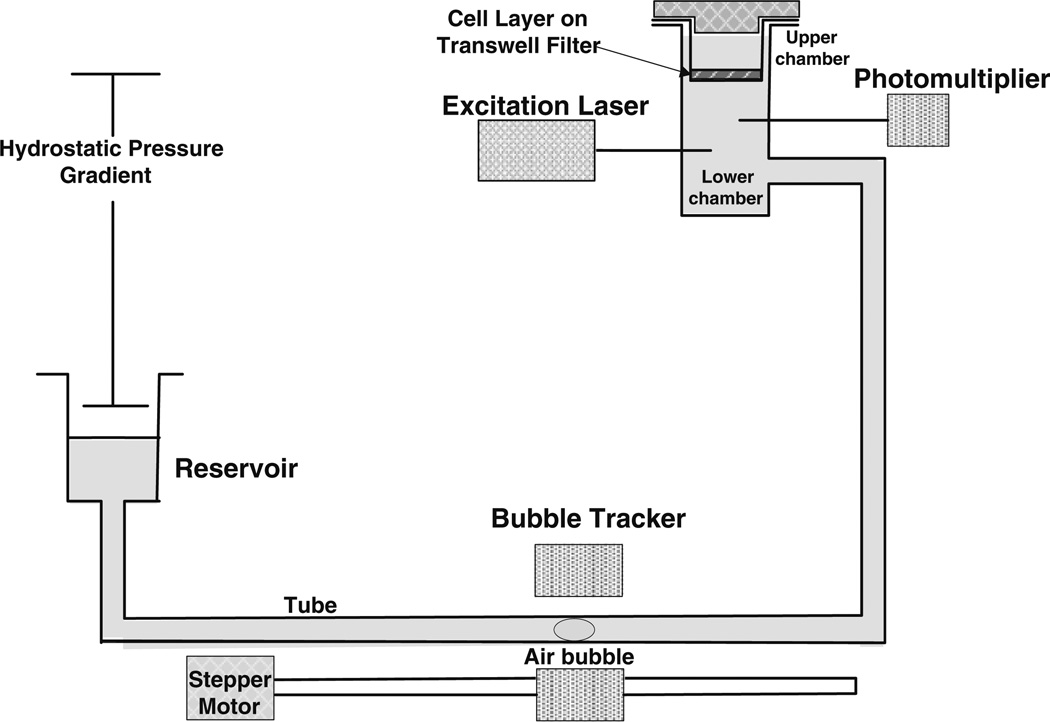 FIGURE 2