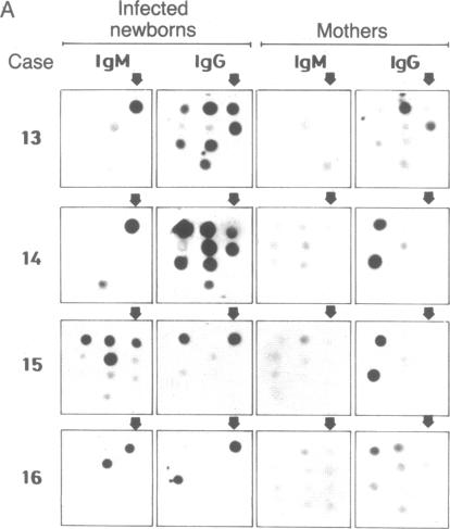 graphic file with name pnas01032-0474-a.jpg