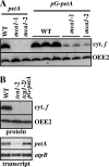 FIG. 8.